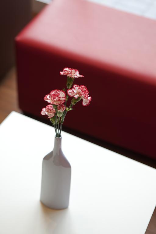 Hotel Ibis Kielce Centrum Dış mekan fotoğraf